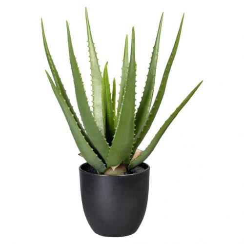 Umělá Rostlina Aloe Vera