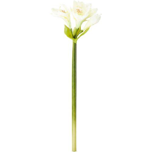 UMĚLÁ KVĚTINA AMARYLLIS I